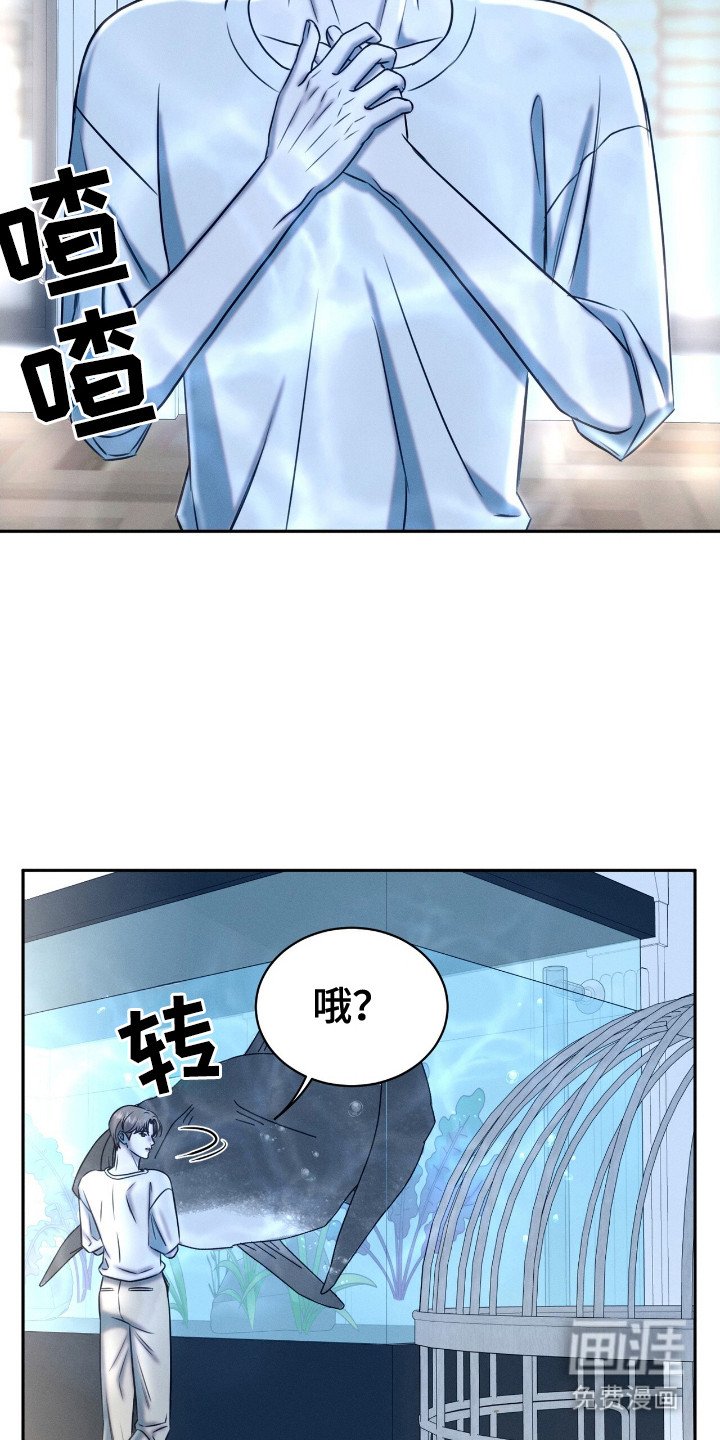 第20章： 动物们