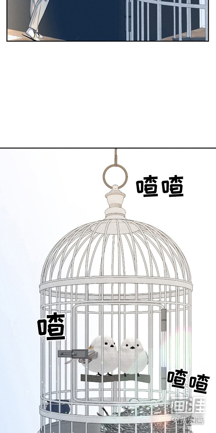 第20章： 动物们