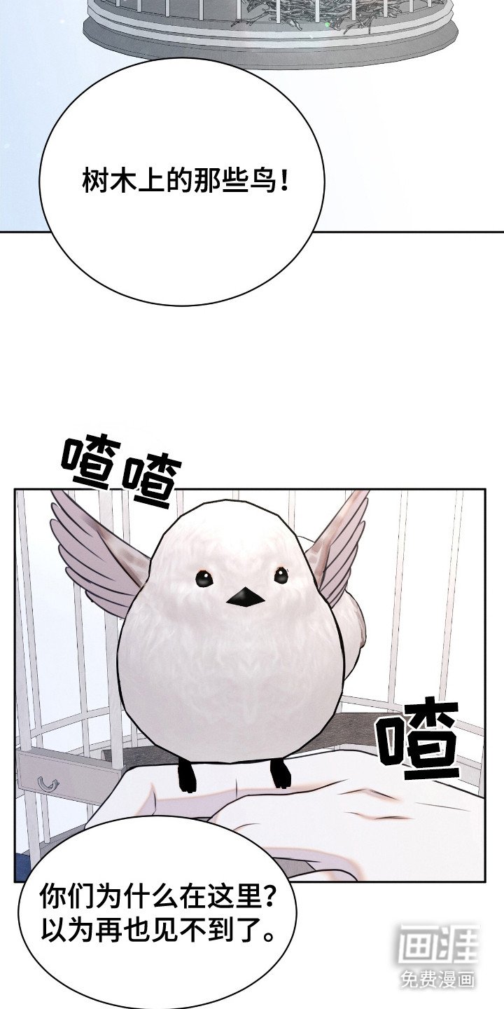 第20章： 动物们