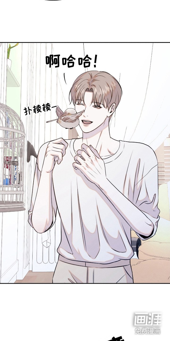 第20章： 动物们