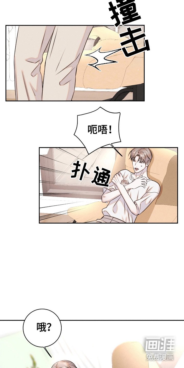 第20章： 动物们