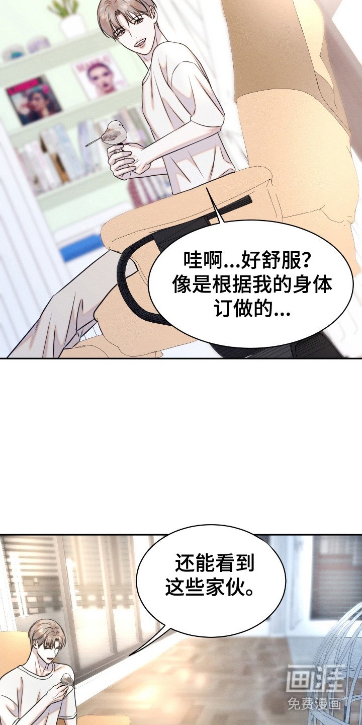 第20章： 动物们