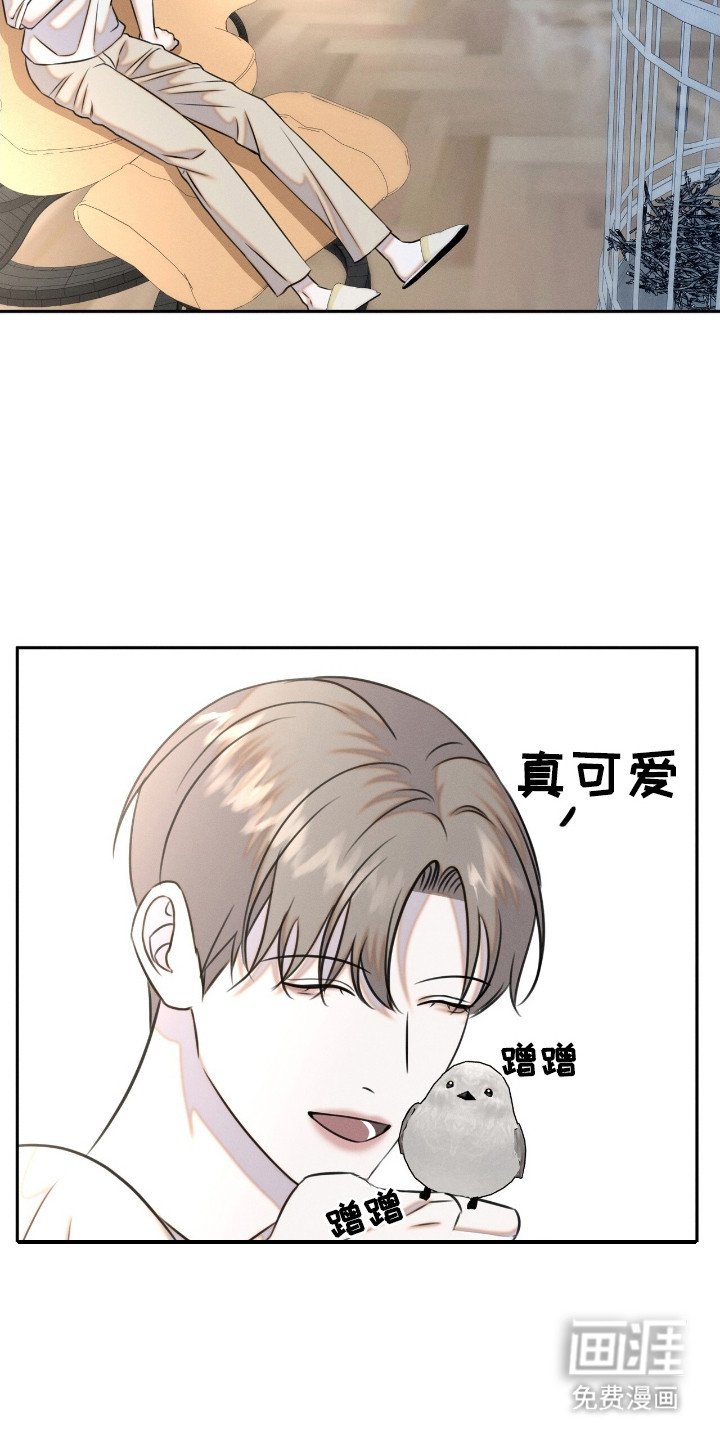 第20章： 动物们