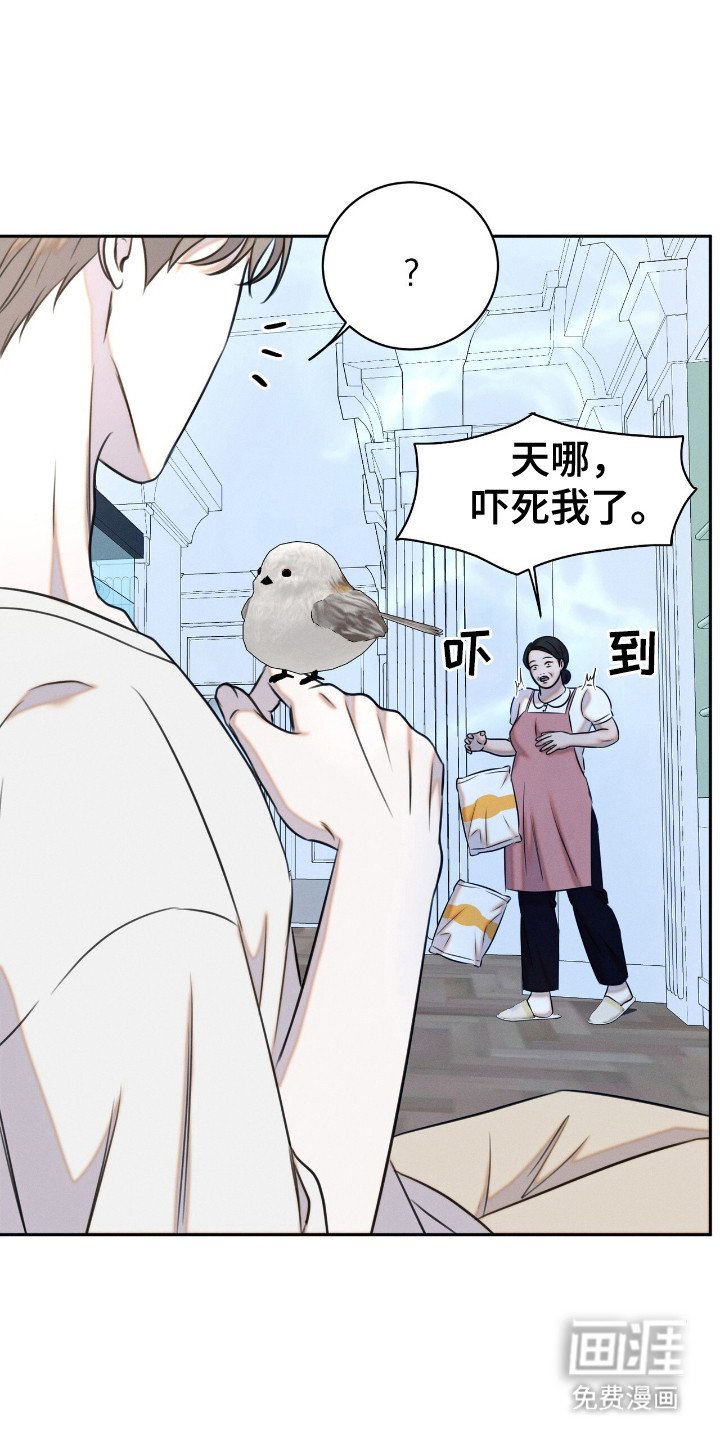 第21章：称呼