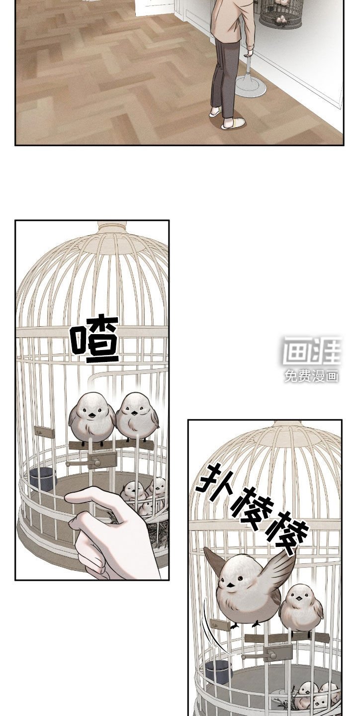 第23章：学习飞翔