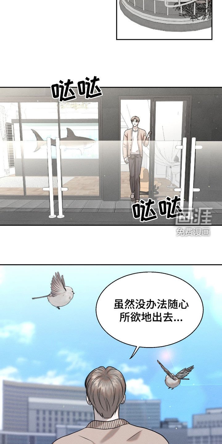 第23章：学习飞翔