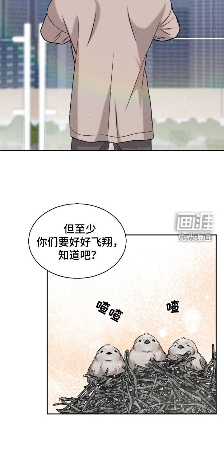 第23章：学习飞翔