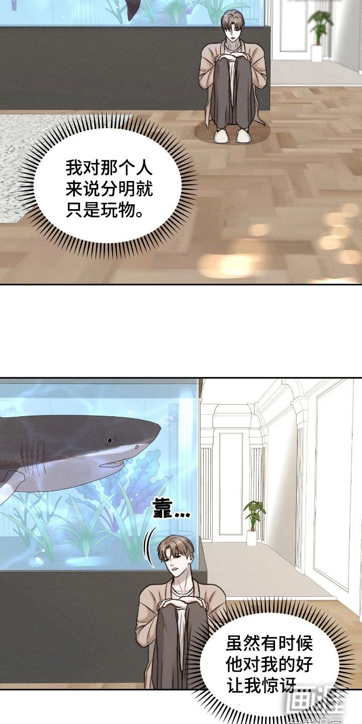 第23章：学习飞翔