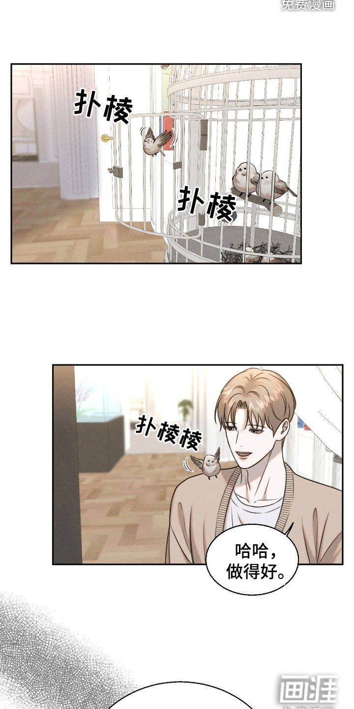 第23章：学习飞翔