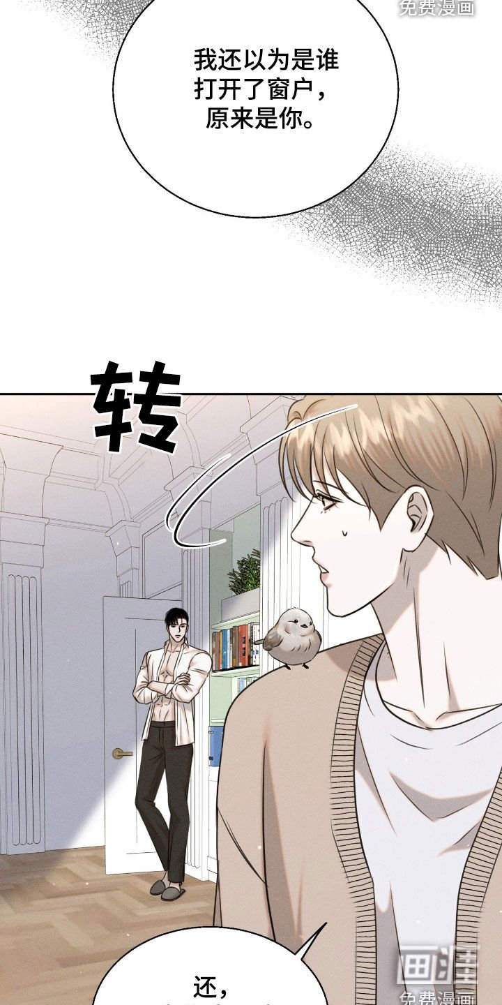 第23章：学习飞翔