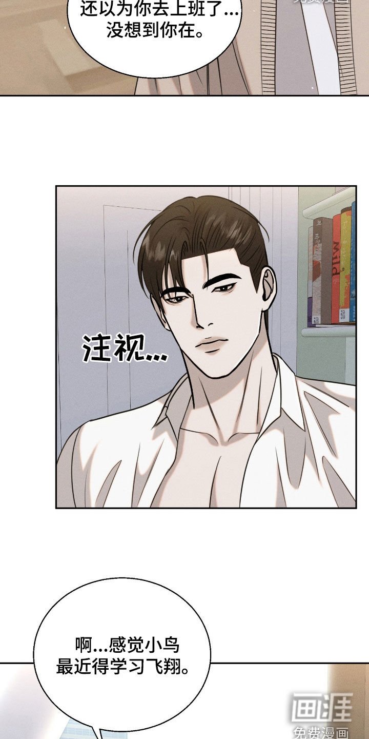 第23章：学习飞翔