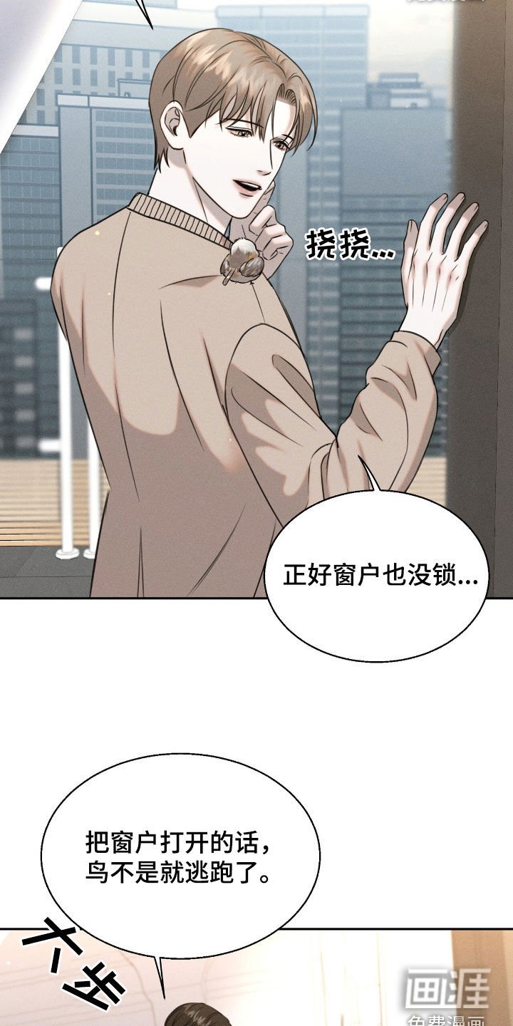 第23章：学习飞翔