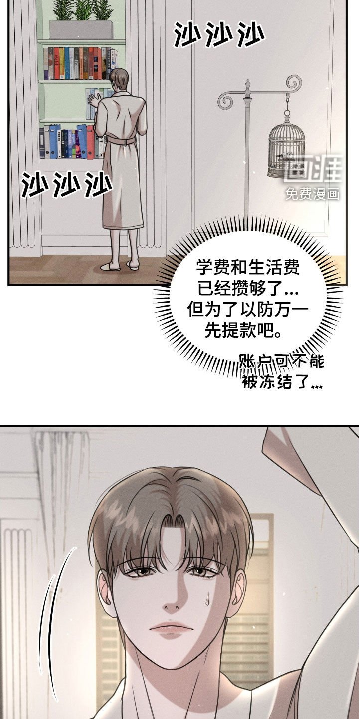 第27章：最好的牌