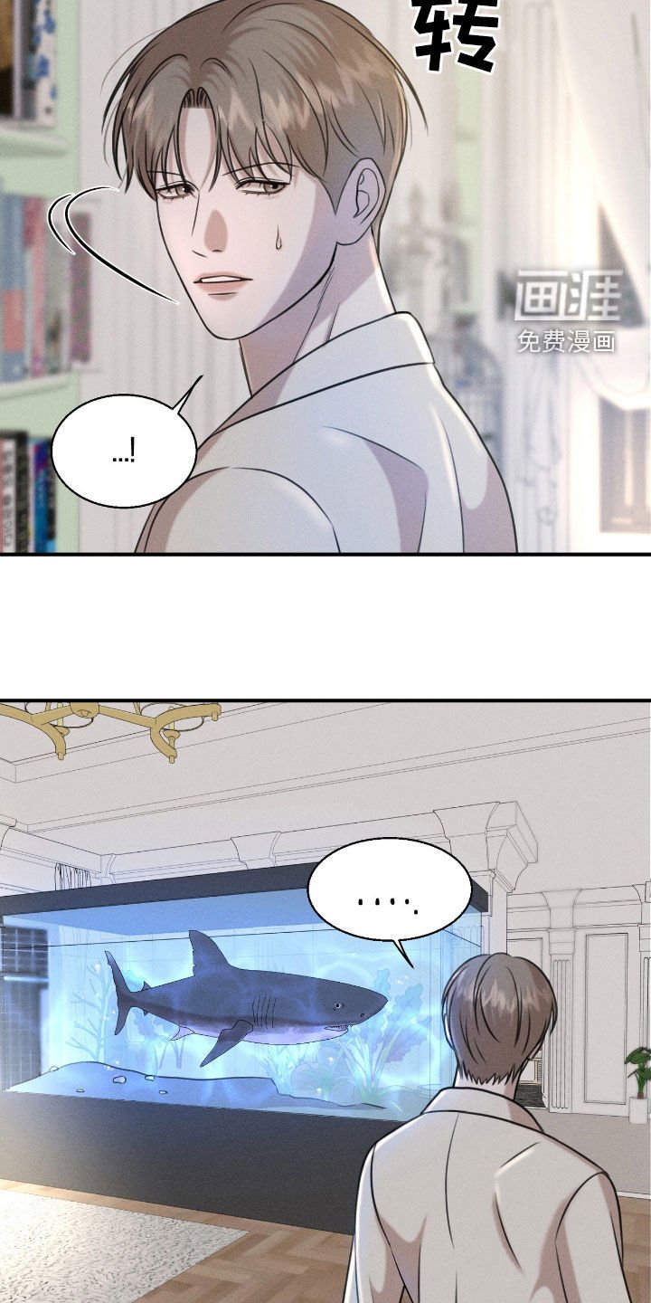第27章：最好的牌