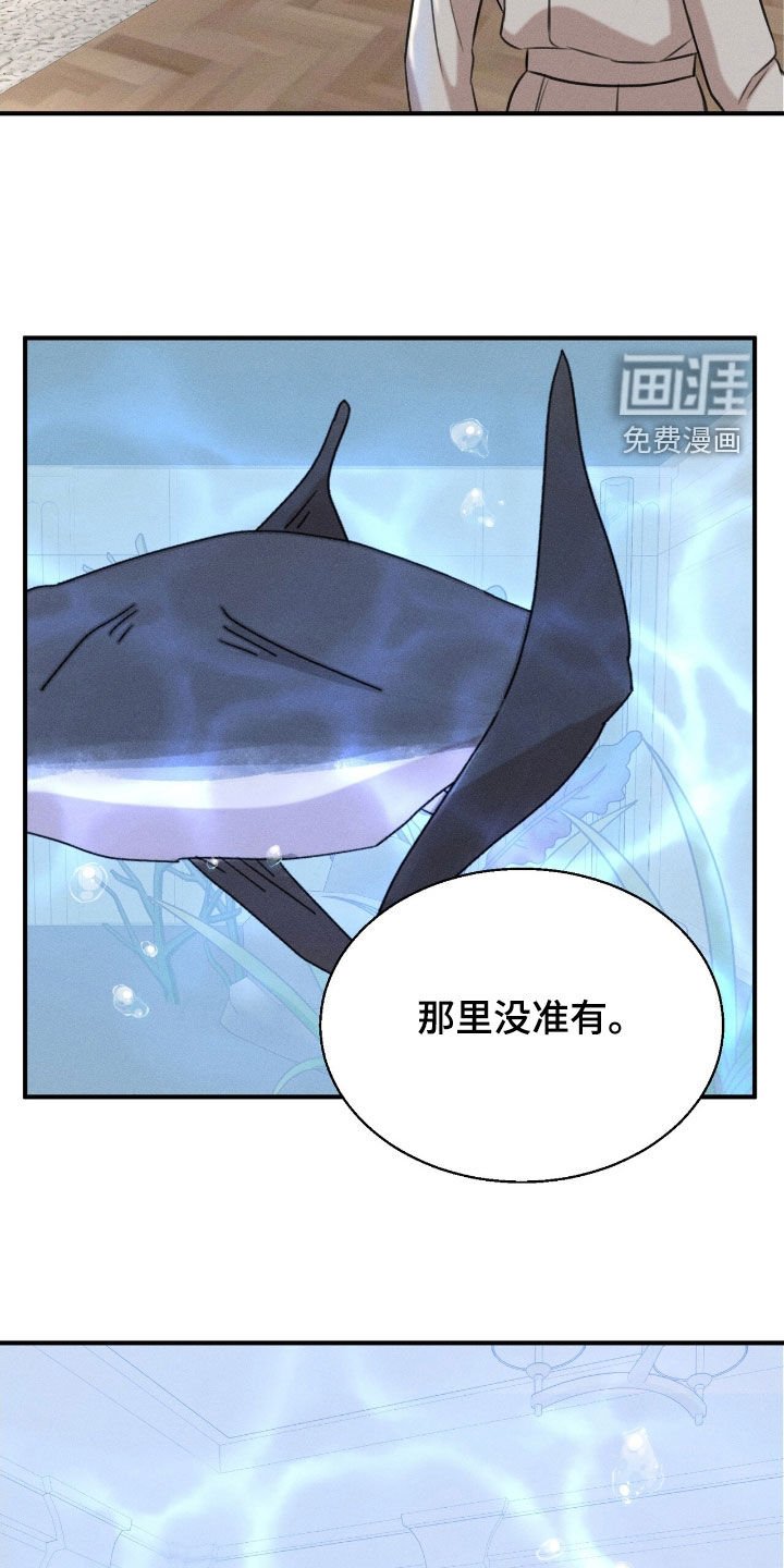 第27章：最好的牌