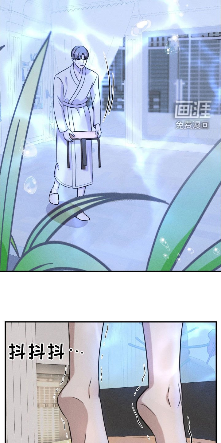 第27章：最好的牌