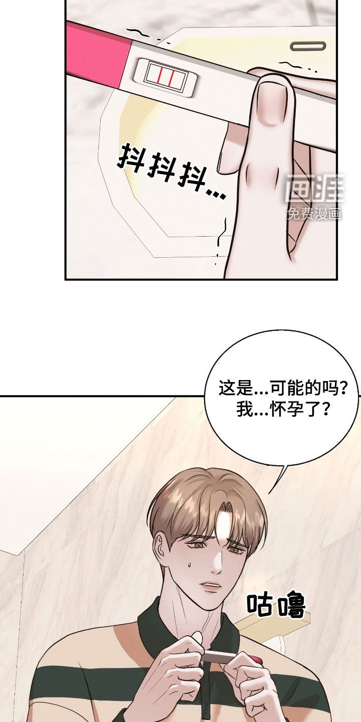 第43章：怀孕