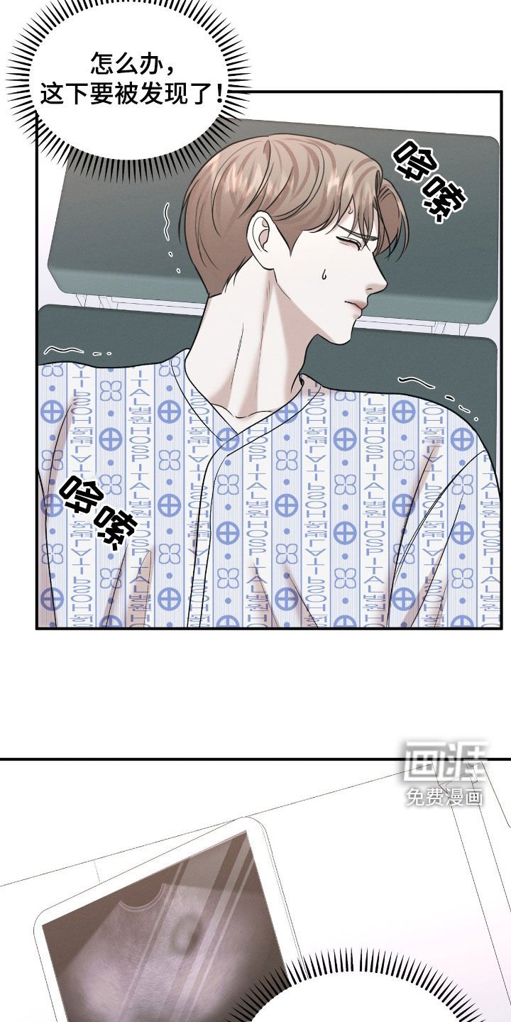 第44章：不是怀孕