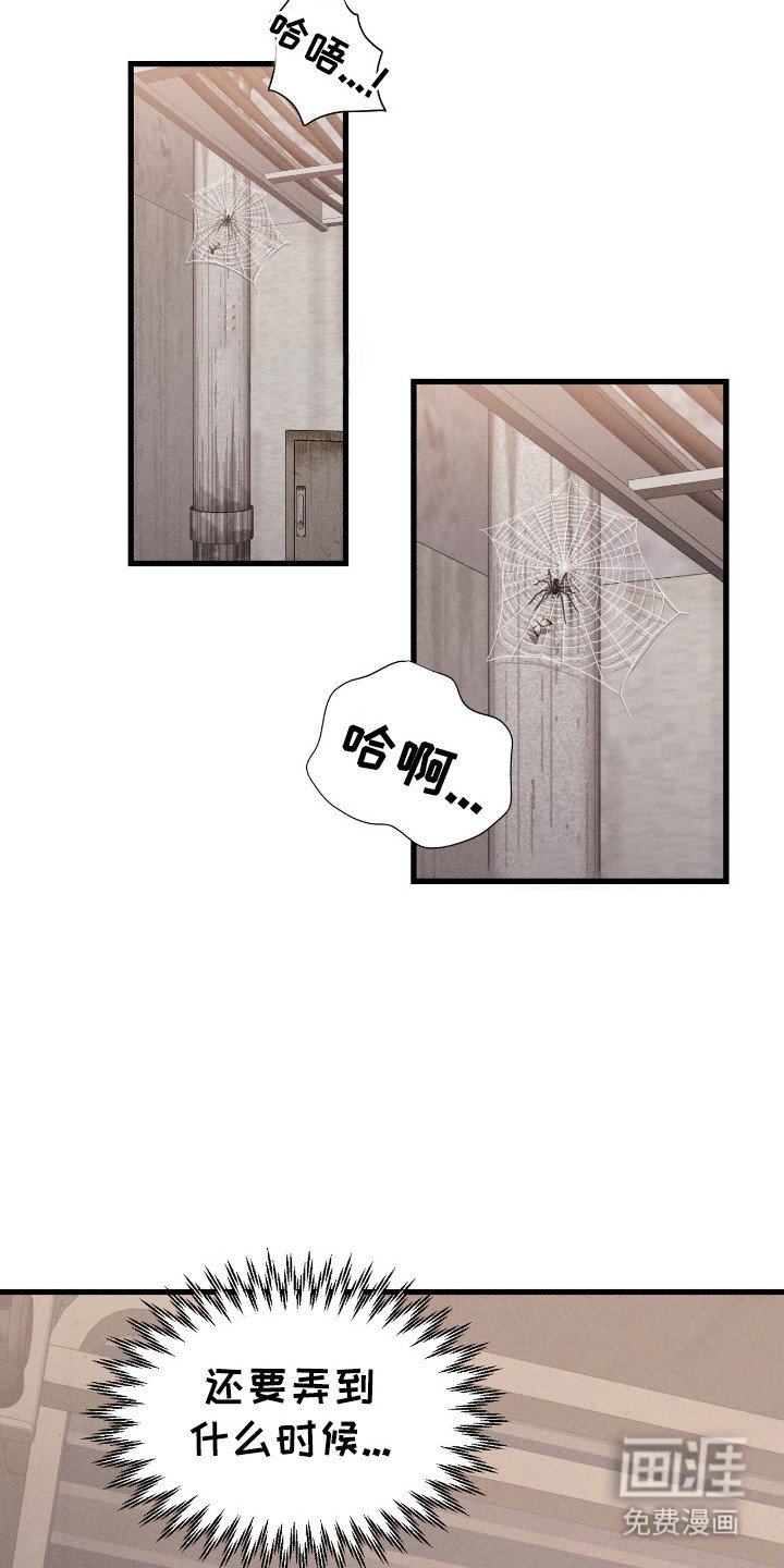 第5章：疼痛感