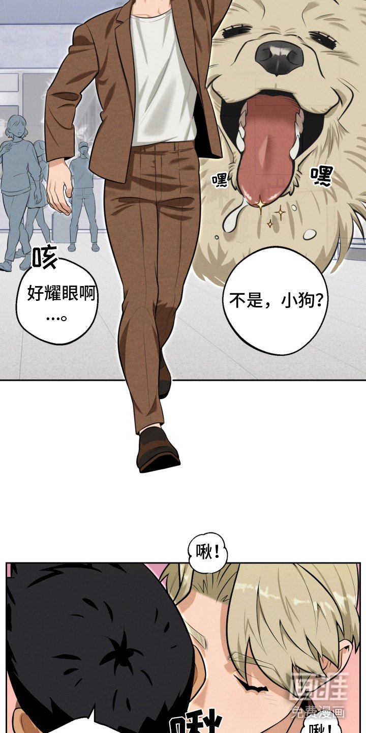 第4章：济州岛