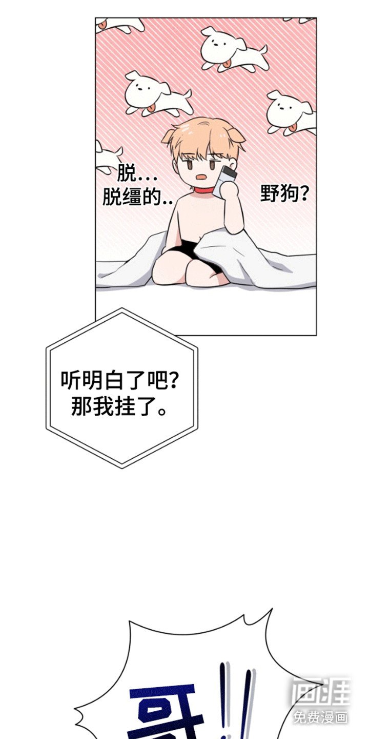 第1章：制裁