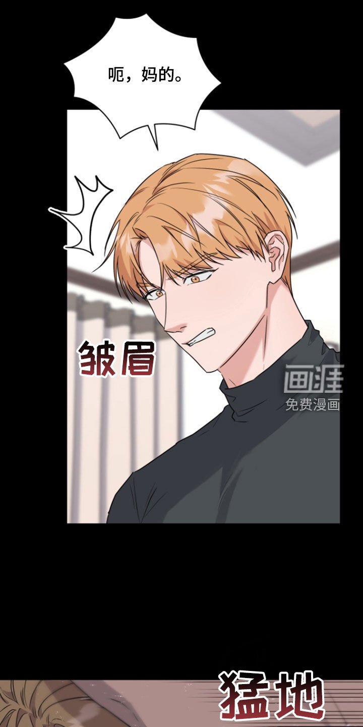 第17章：一见钟情
