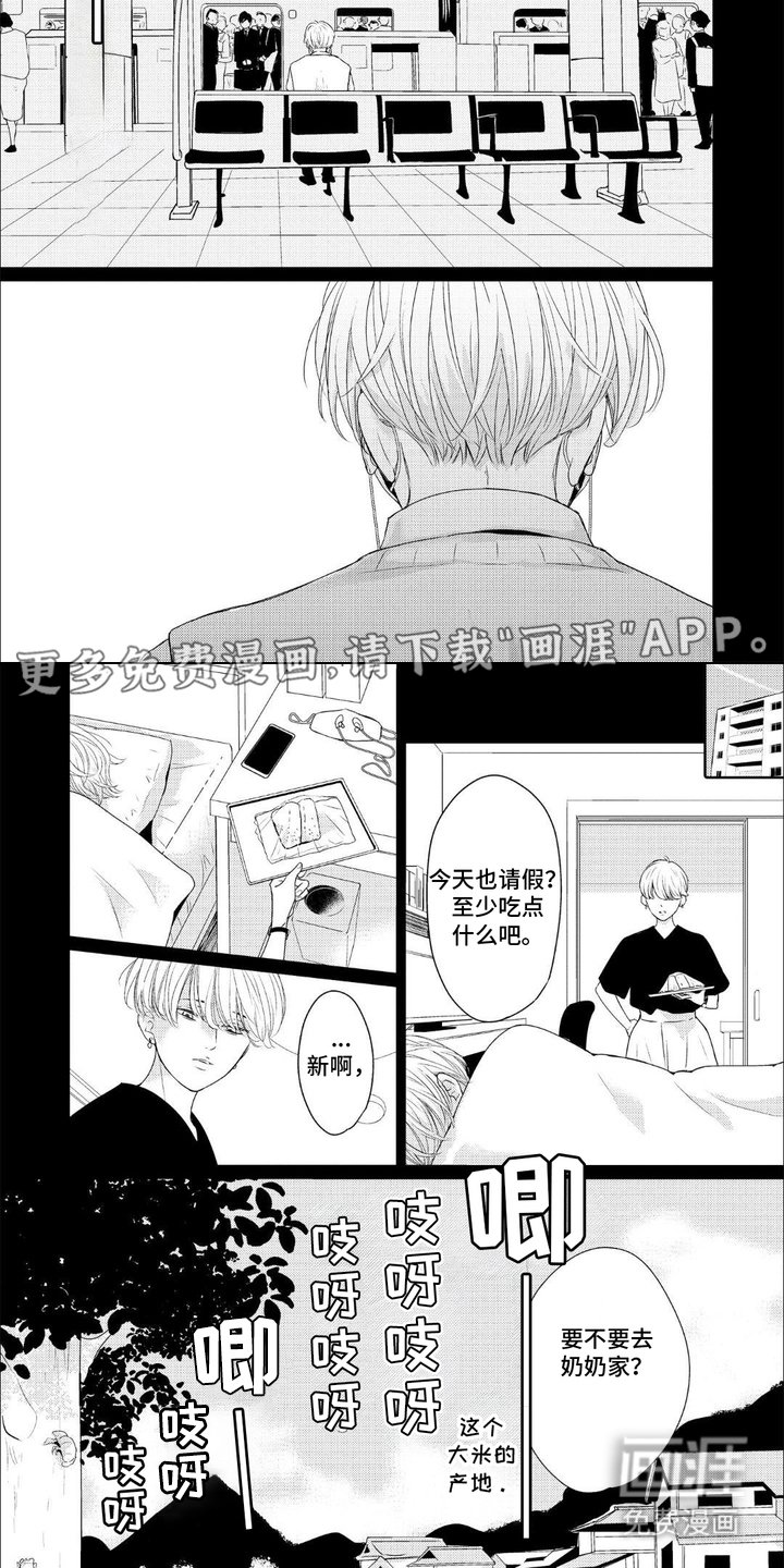 第11章：走小路