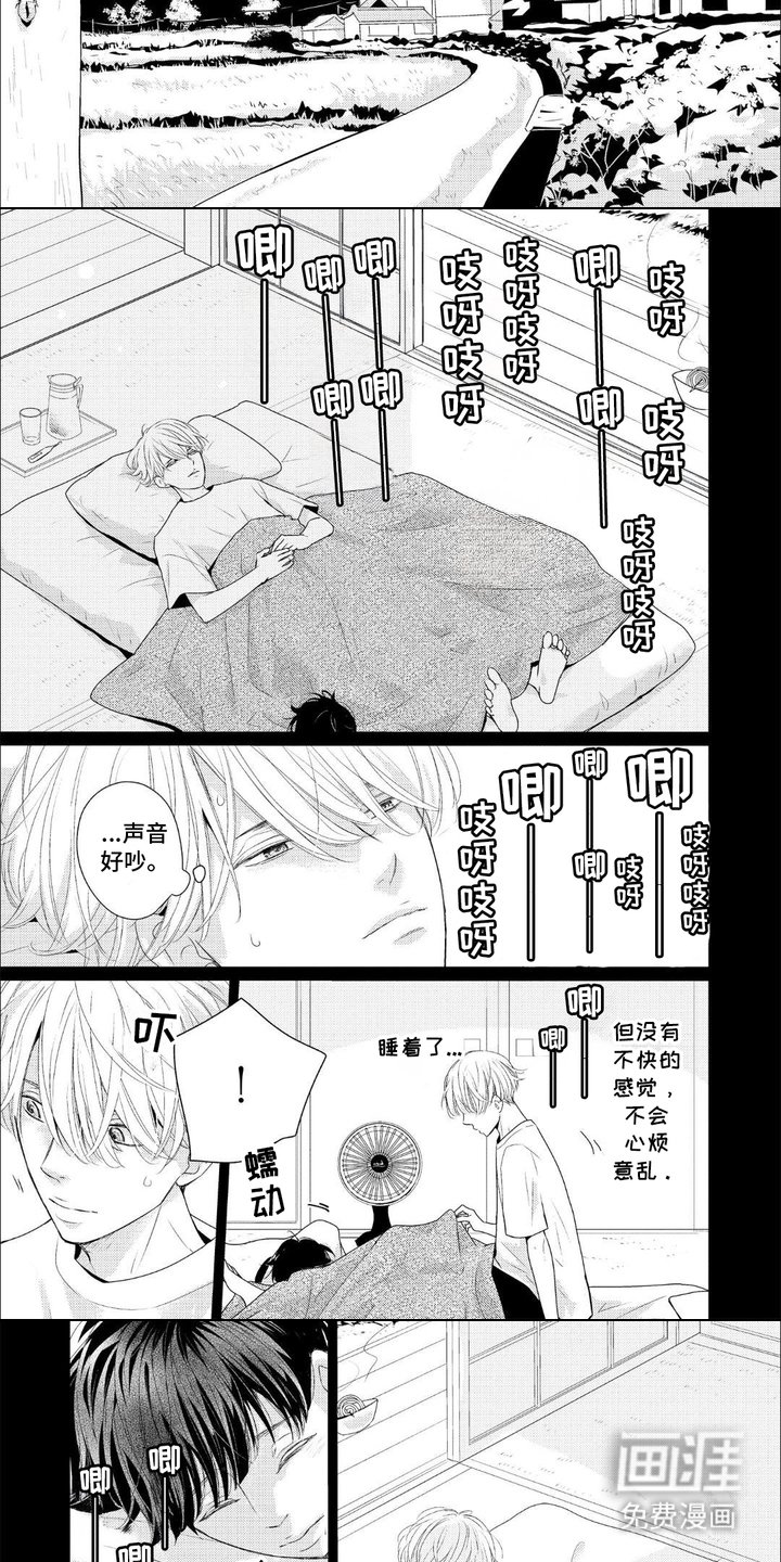 第11章：走小路