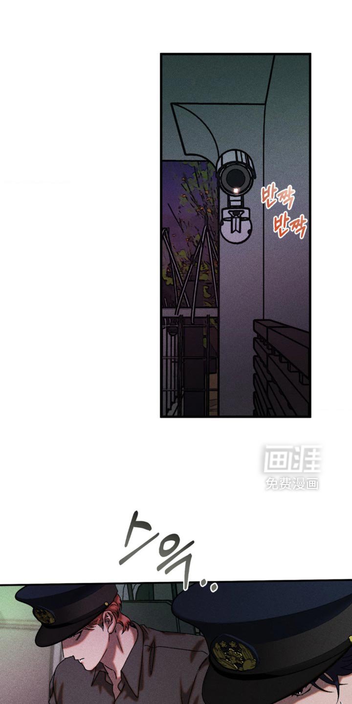 第100章：因为可能会射中你