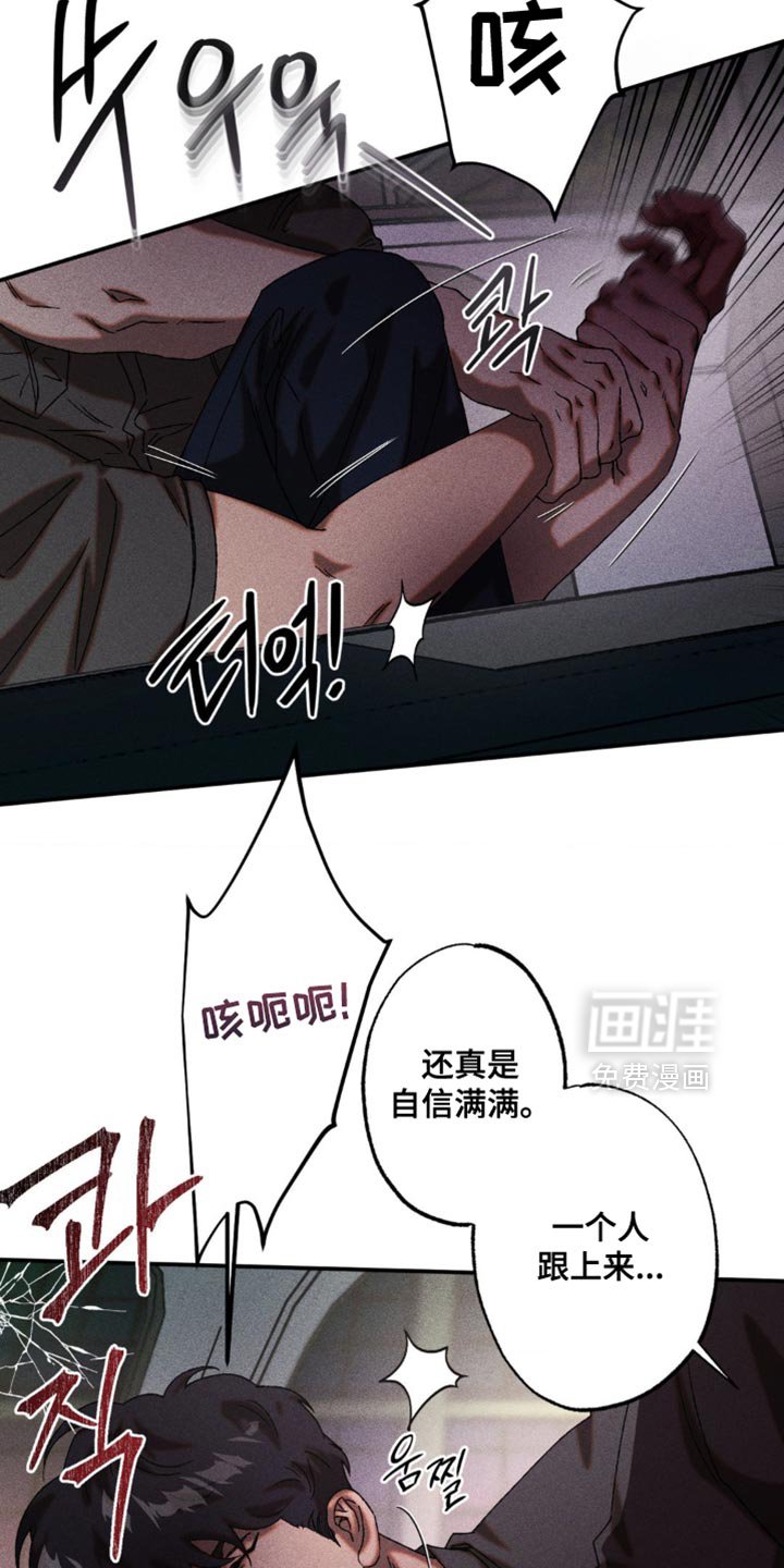 第101章：立即支援