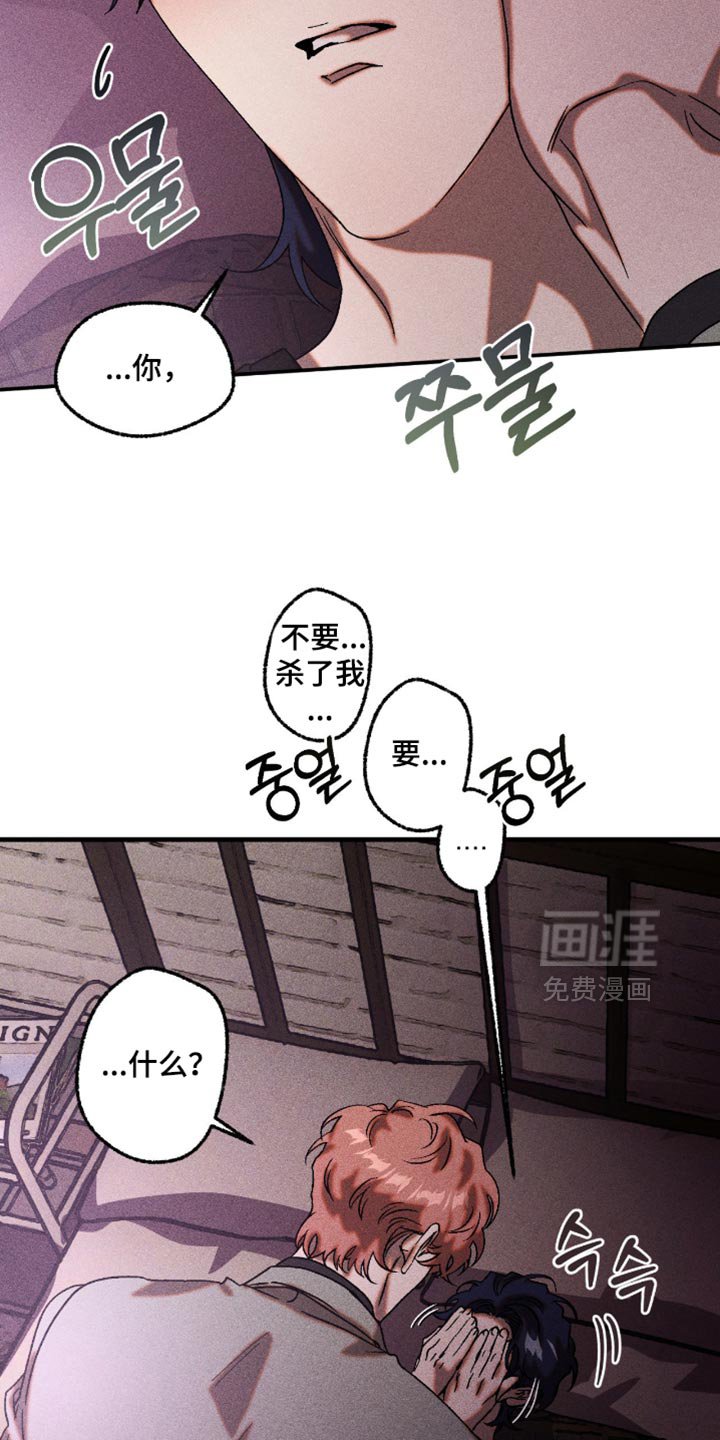 第116章：这是什么告白