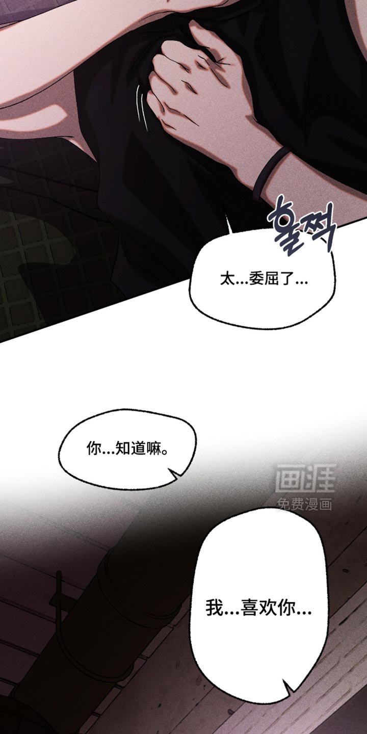 第116章：这是什么告白