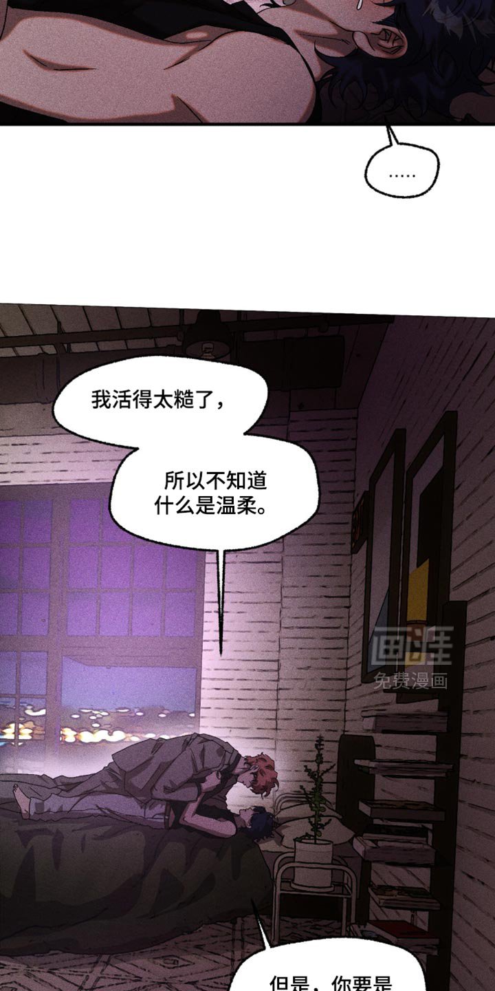 第116章：这是什么告白