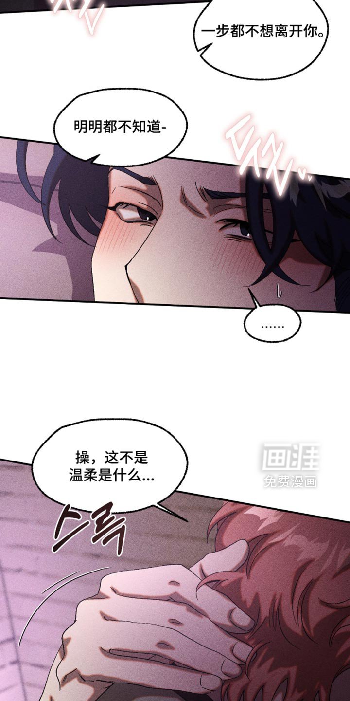 第116章：这是什么告白