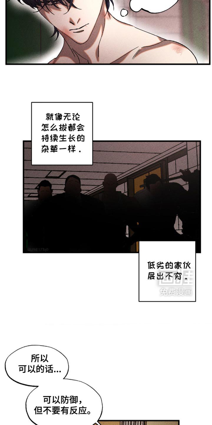 第19章：漂亮的脸蛋
