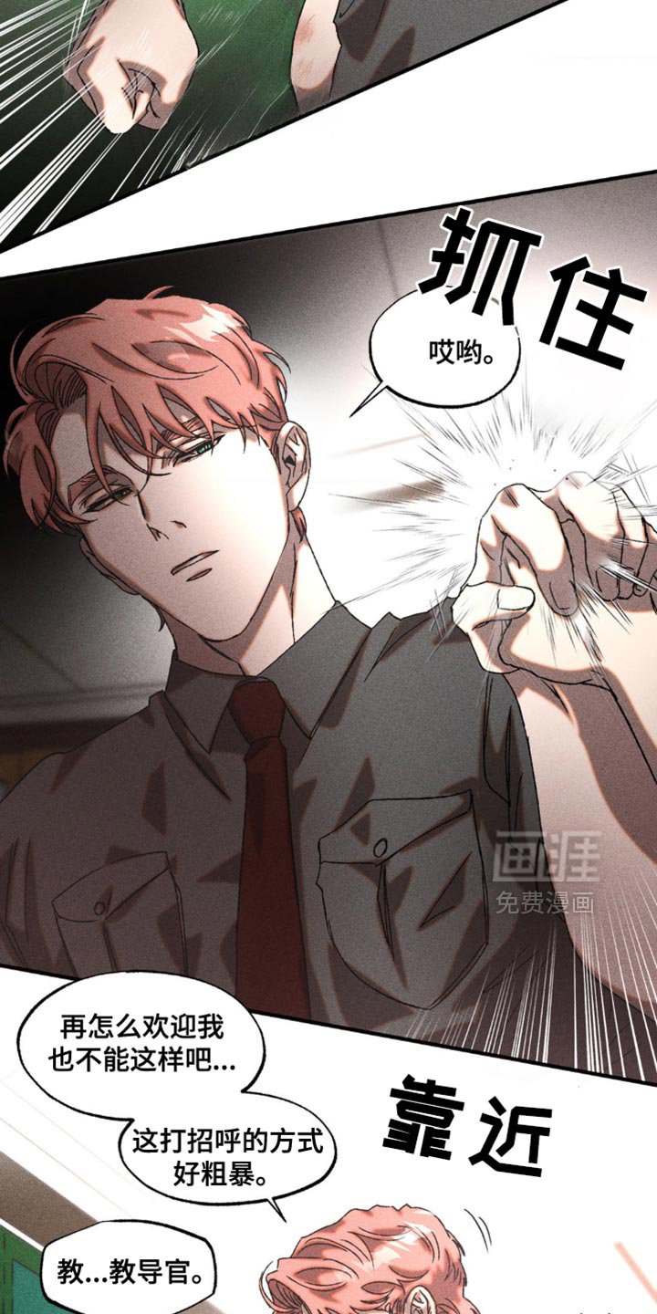 第19章：漂亮的脸蛋