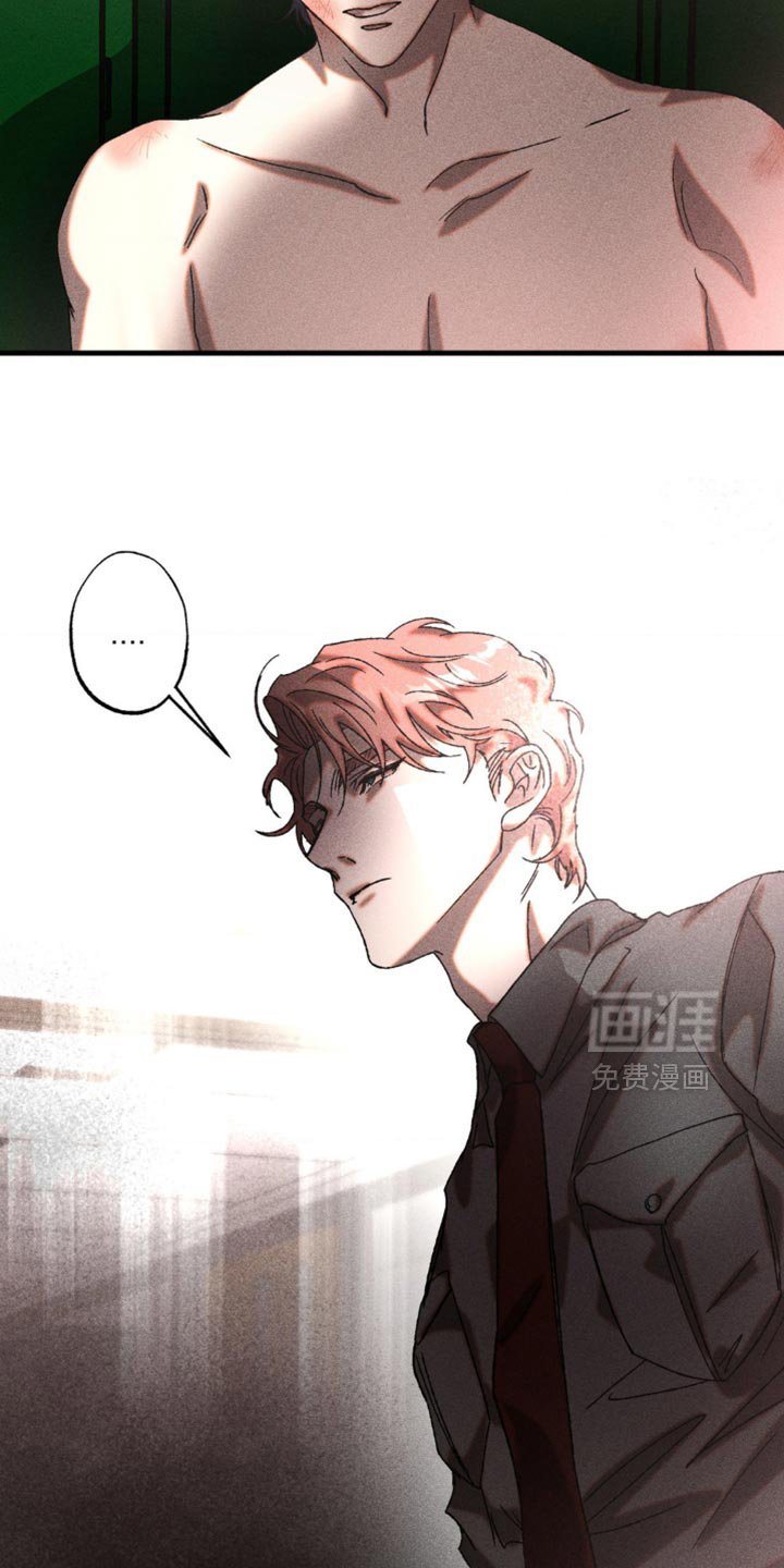 第19章：漂亮的脸蛋