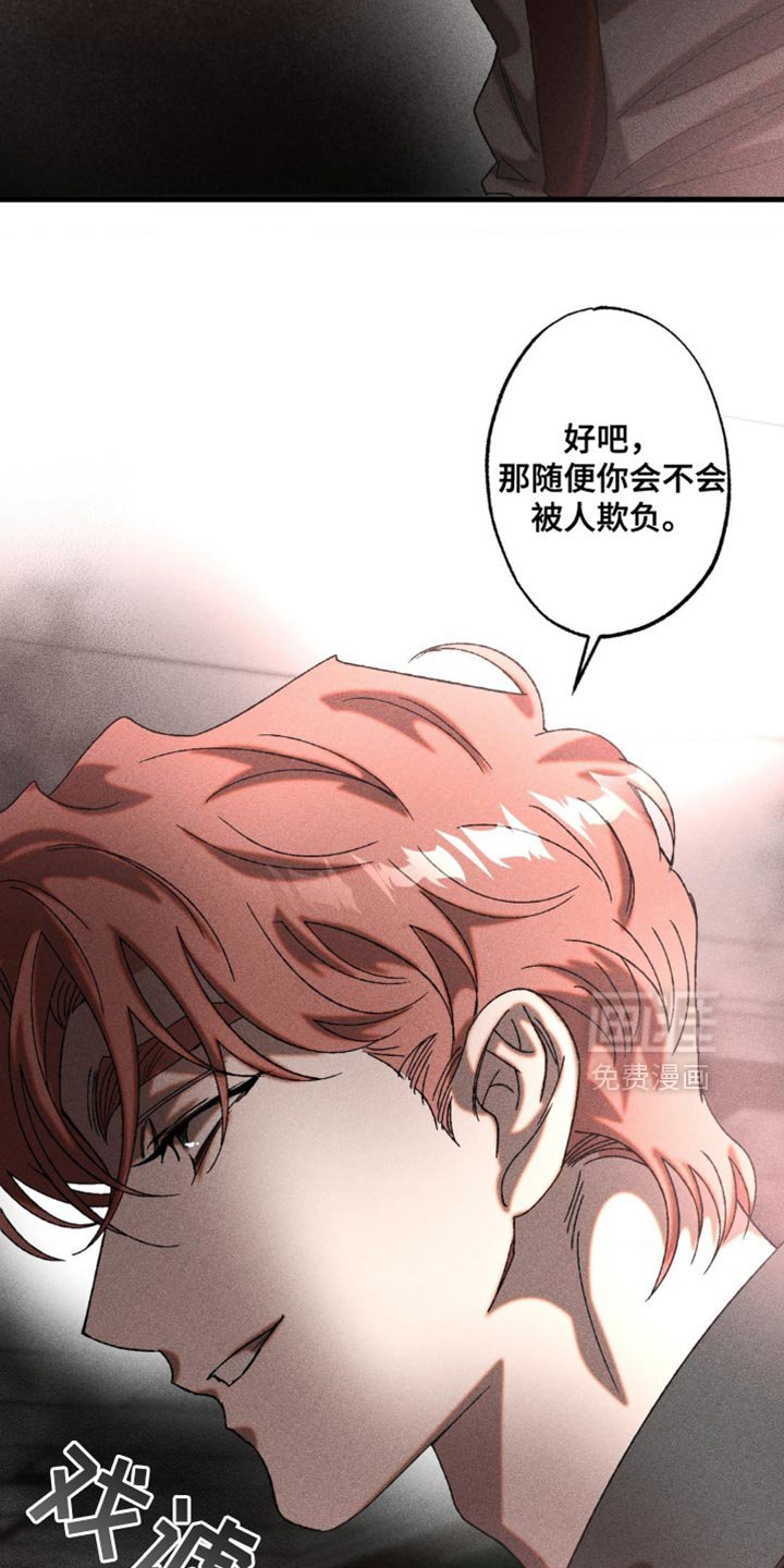 第19章：漂亮的脸蛋