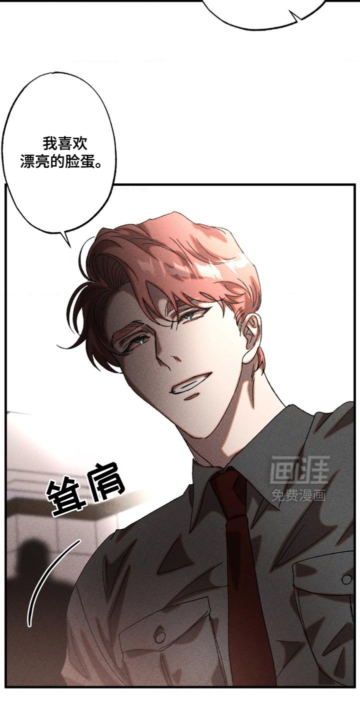 第19章：漂亮的脸蛋