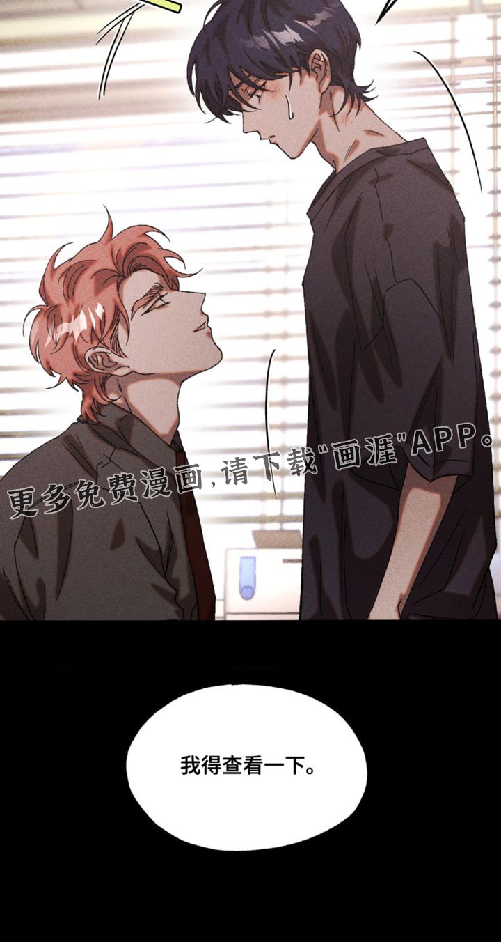 第21章：我得查看一下