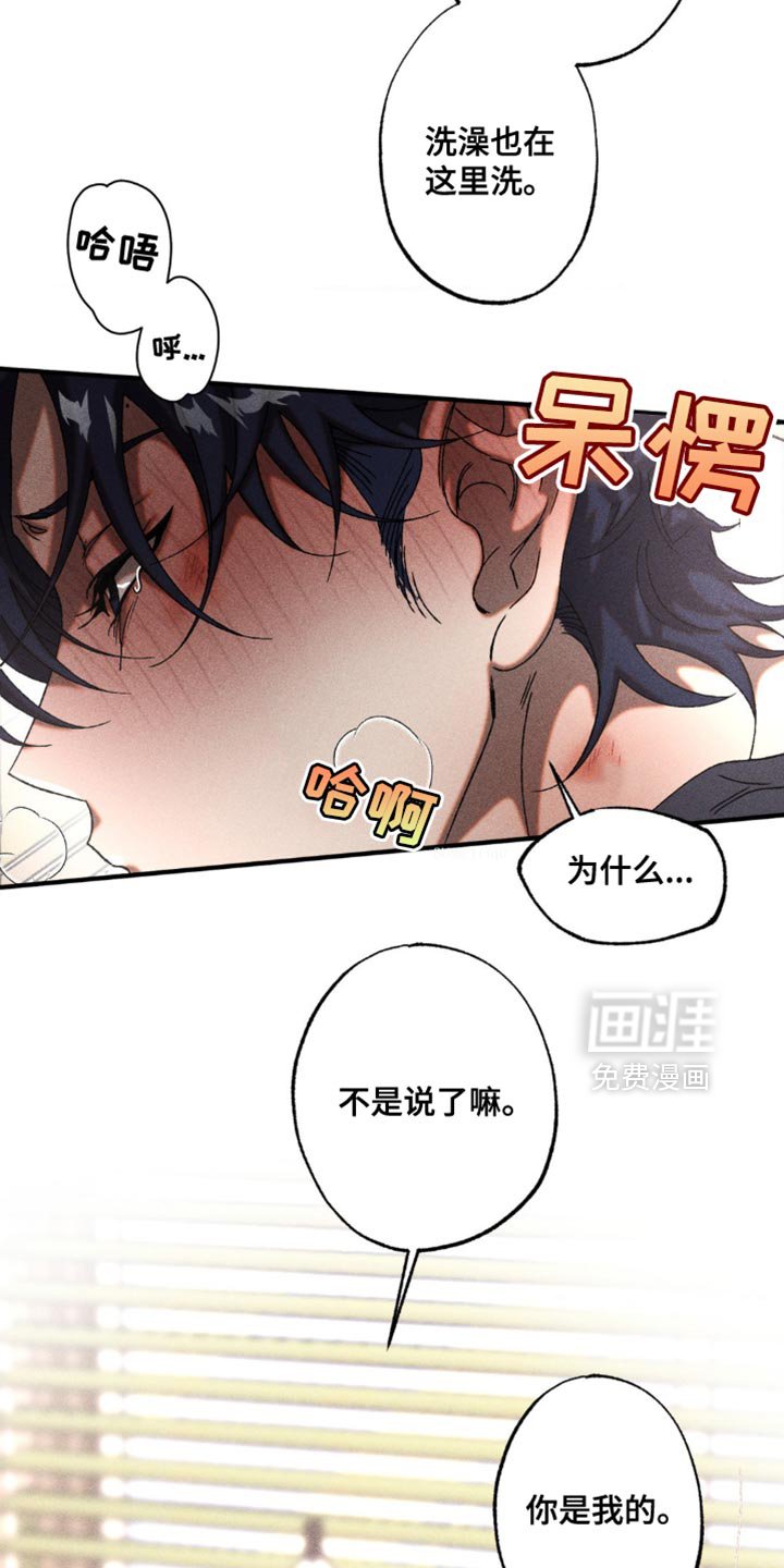 第22章：可爱的问题