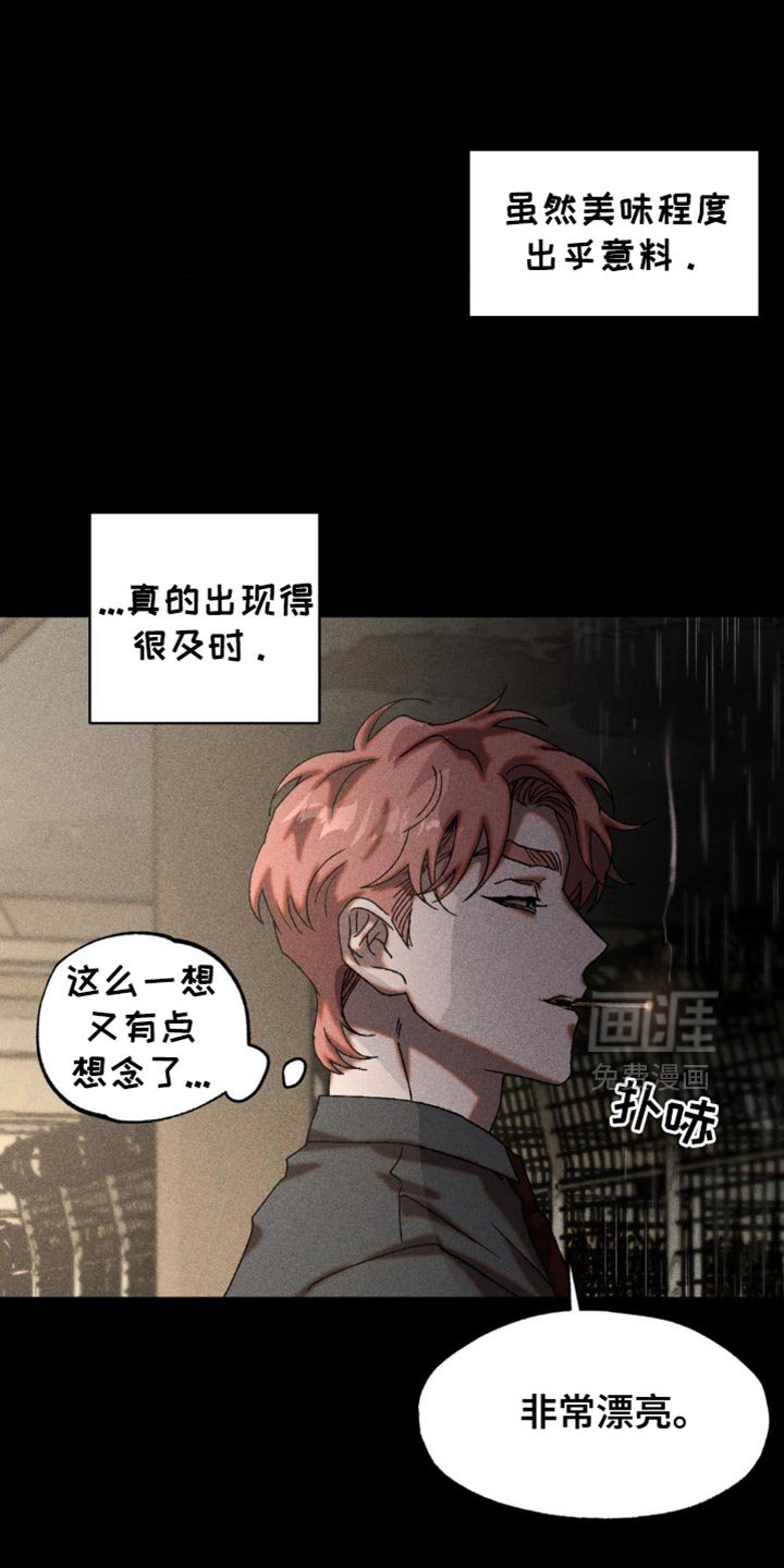第24章：最佳的诱饵