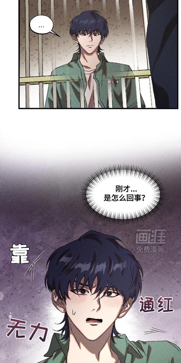 第30章：差异