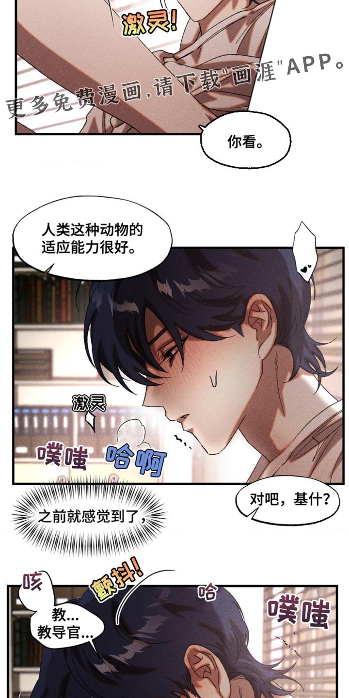 第33章：有趣的家伙