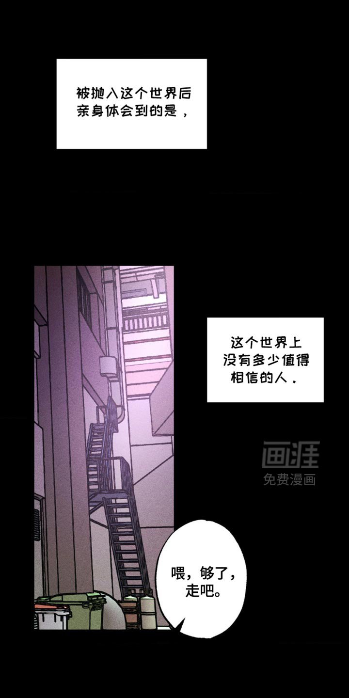第40章：战略性的选择