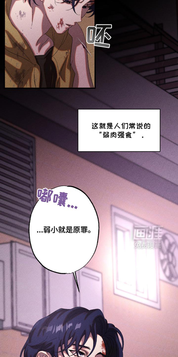 第40章：战略性的选择
