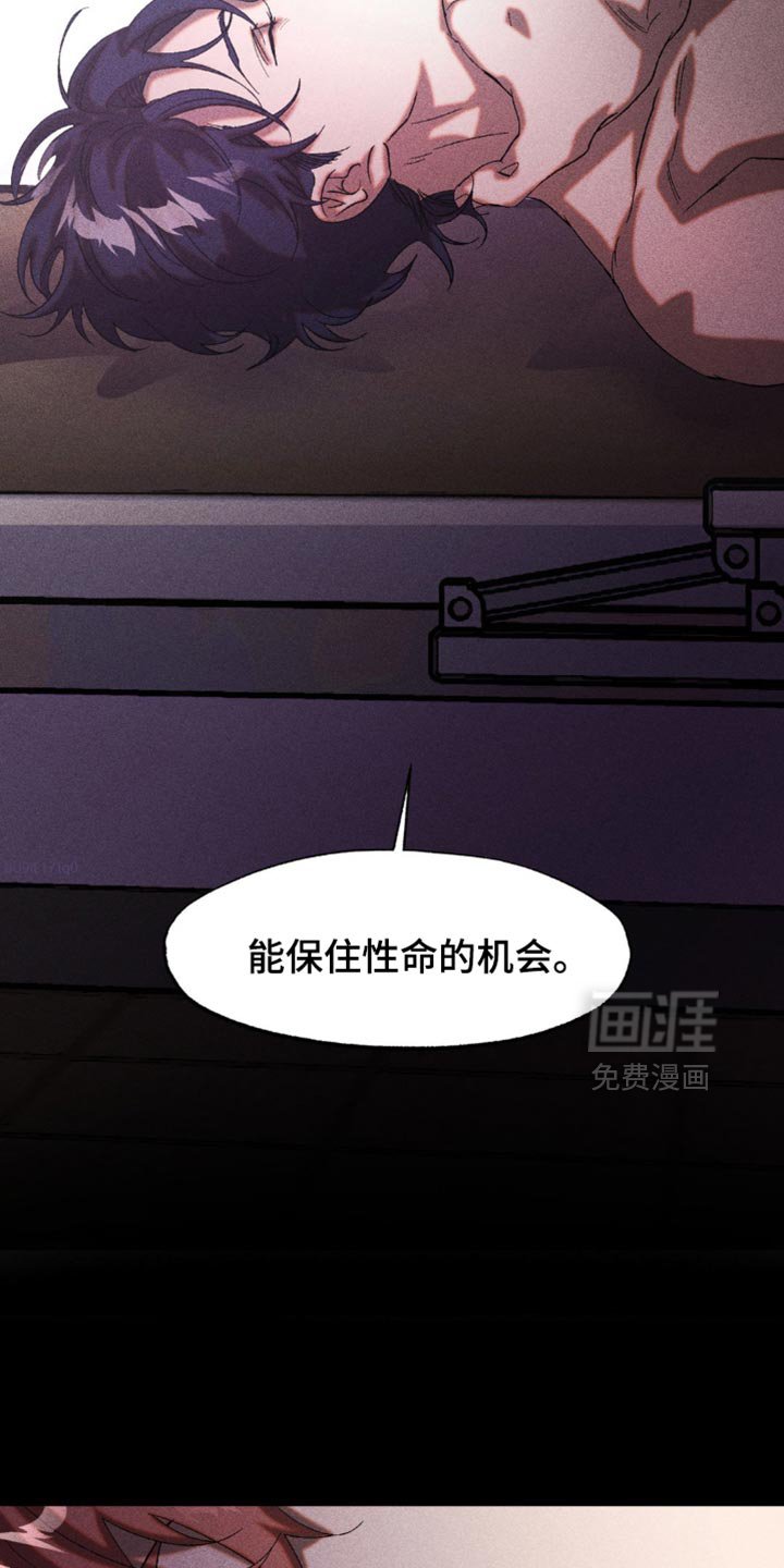 第47章：最大的问题