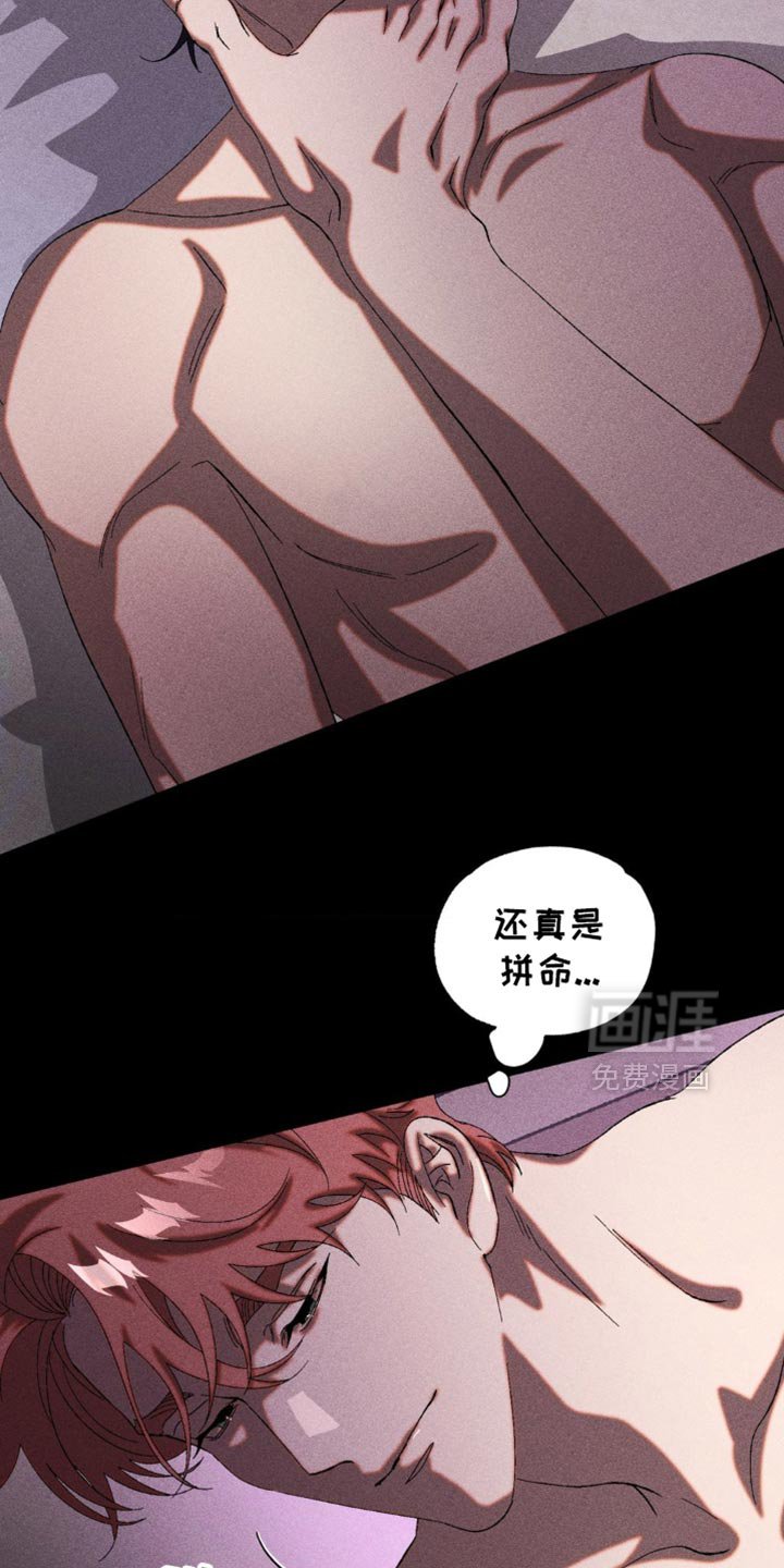 第48章：悲惨的撕碎