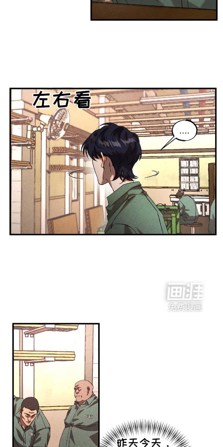 第51章：你被利用了