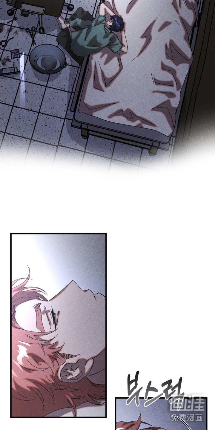 第75章：苏醒